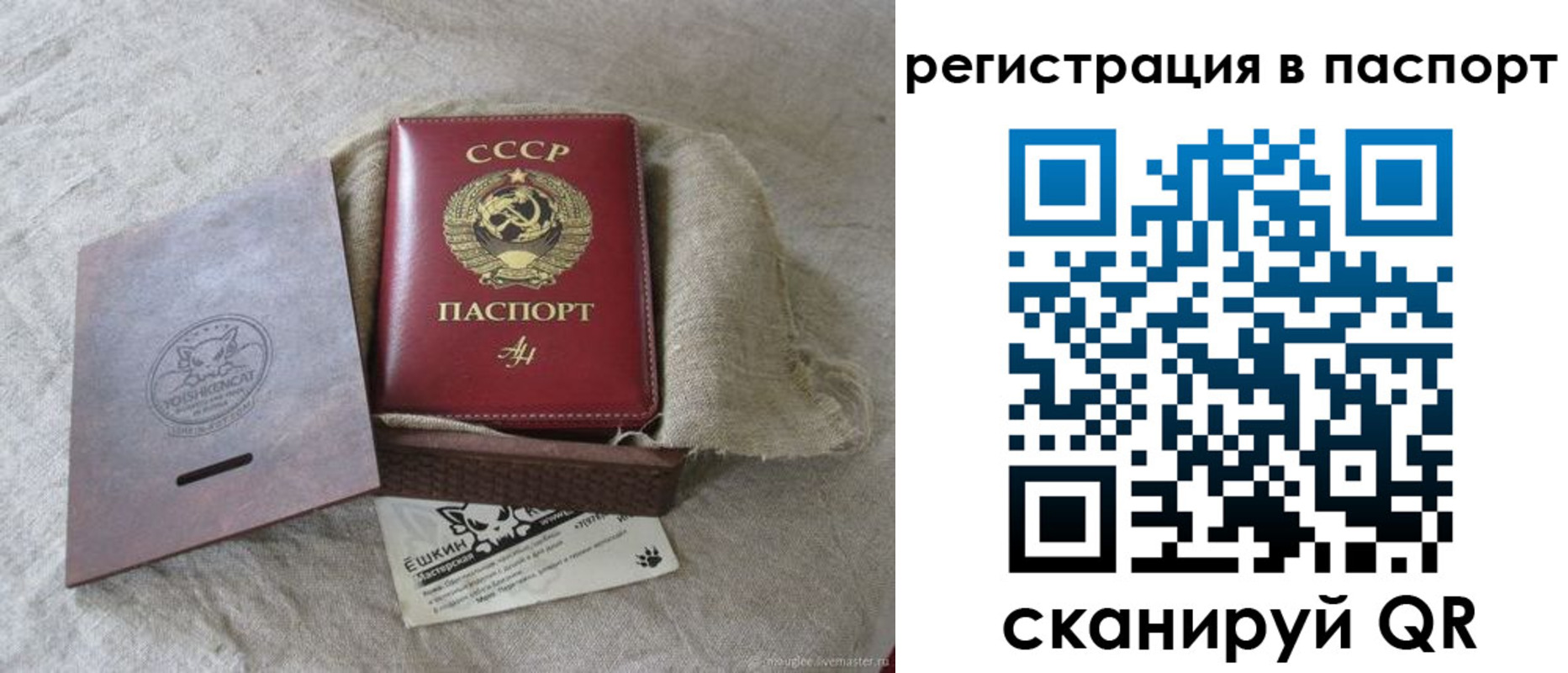прописка регистрация в Александровске